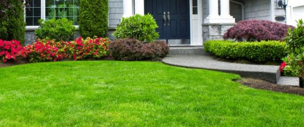 Quality All-Care Lawn Services