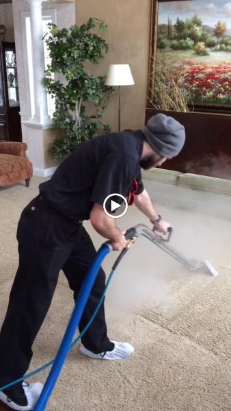 Ultimate Carpet & Upholstery Cleaning
