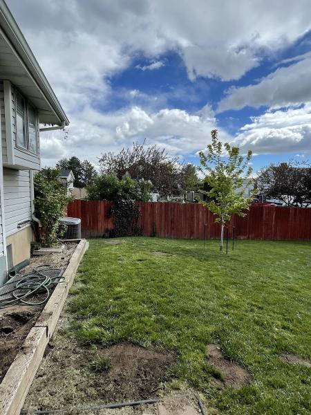 Page's Professional Tree Services