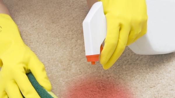 Sparkly Housekeeping & Green Valley Maintenance