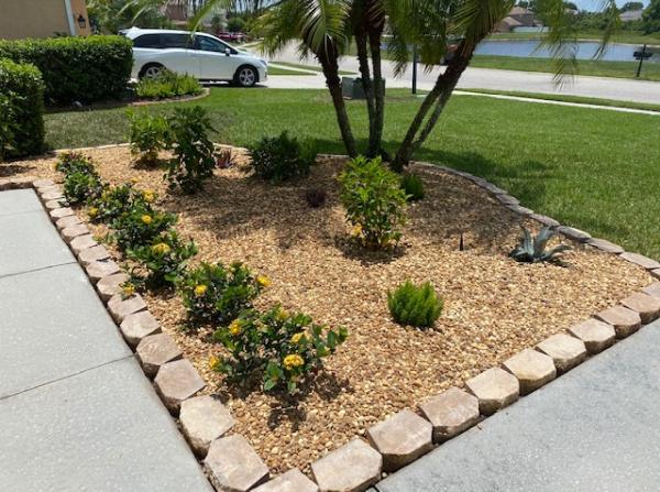 Landscaping on a Budget Sarasota