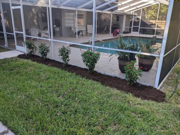Landscaping on a Budget Sarasota