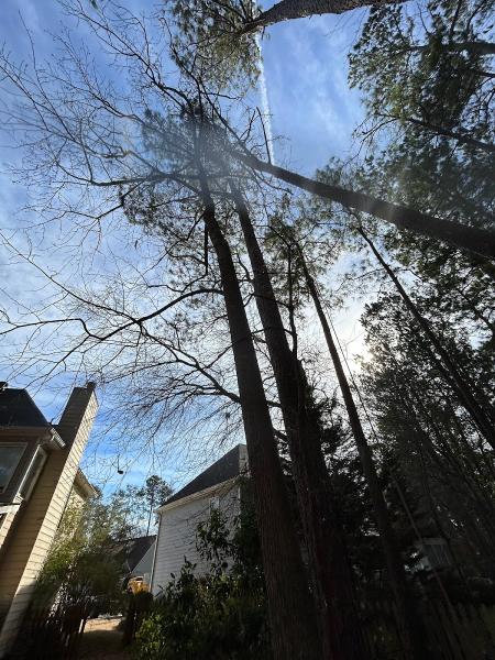 Leo's Landscape Tree Service
