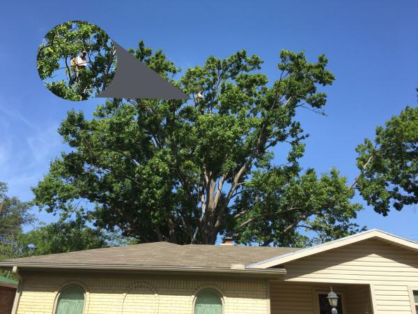 Flynn Tree Service