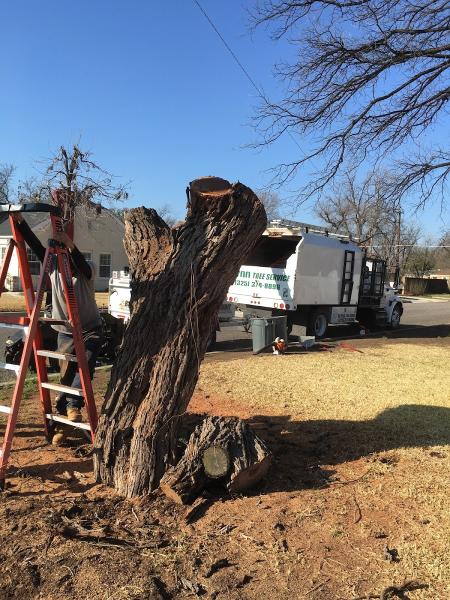 Flynn Tree Service
