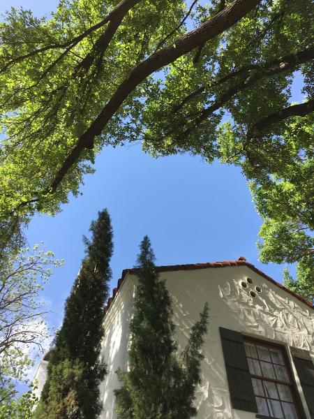 Flynn Tree Service