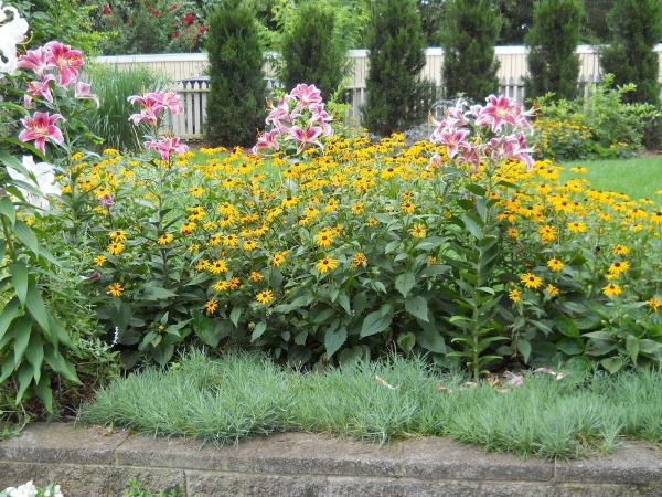 French Accent Landscape Architecture
