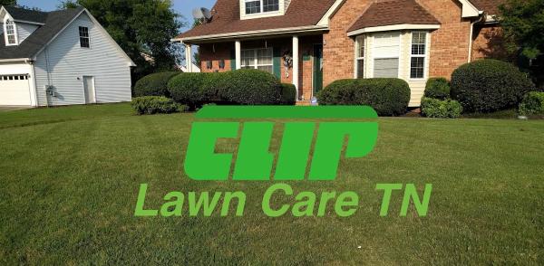 Clip Lawn Care Murfreesboro