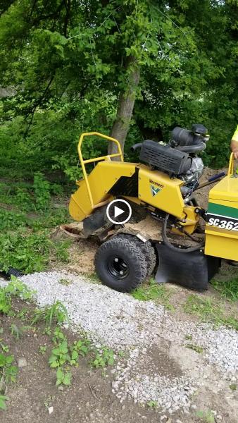 Stump Grinding Iowa
