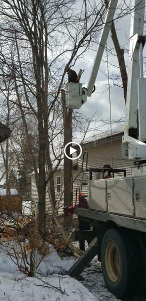 Todd's Tip Top Complete Tree Service