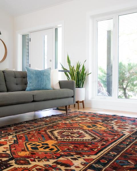 Maui Carpet Cleaning .net