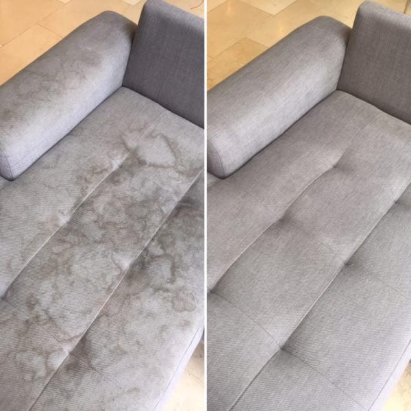 Eco-Bay Carpet & Upholstery Cleaning