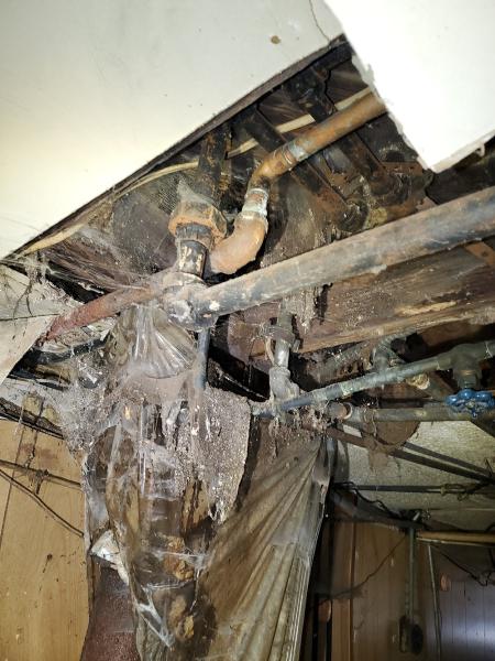 Triangle Plumbing Repair & Drain Cleaners