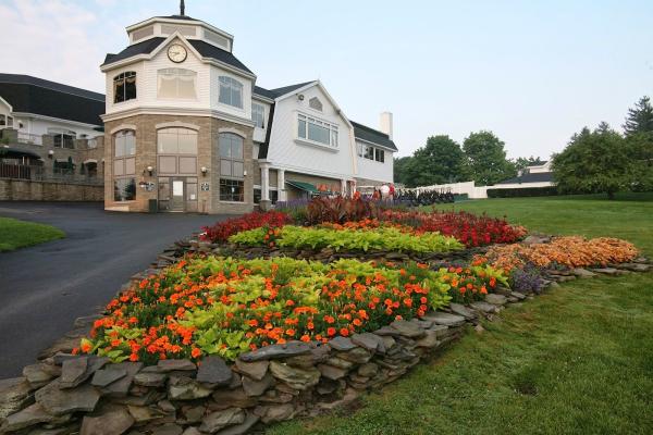 Broccolo Lawn and Landscape