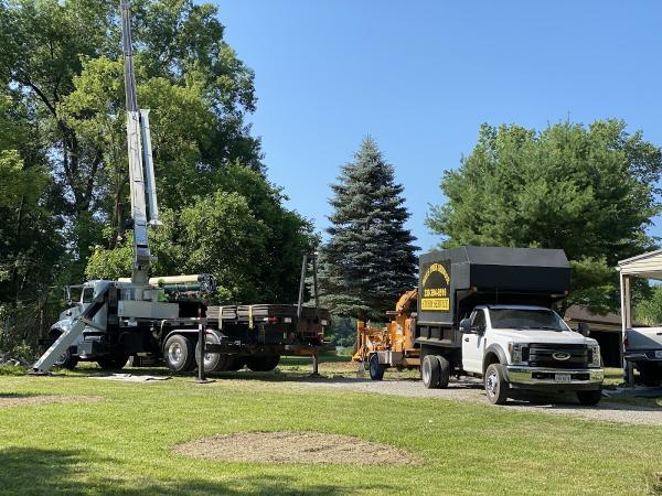 Bob's Tree Services