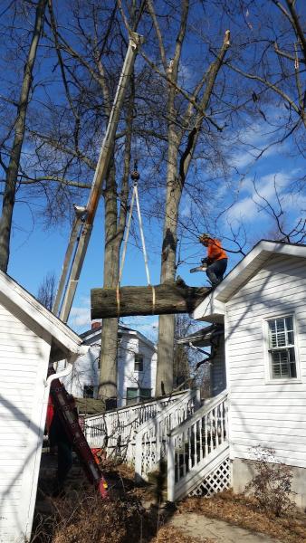 Bob's Tree Services