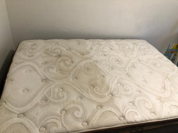 The Galaxy's Finest Carpet and Upholstery Cleaning
