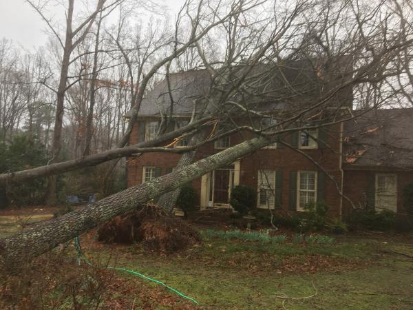 Smith Tree Service LLC