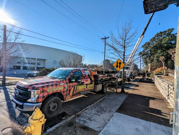 Lumberjacks Tree Service
