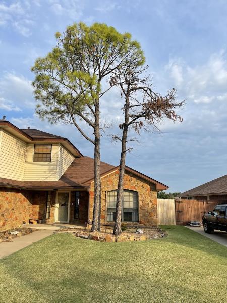 LGC Tree Service