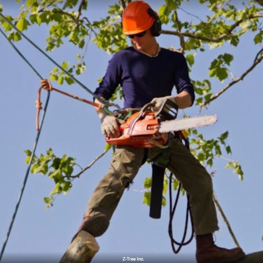 Z-Tree Inc.