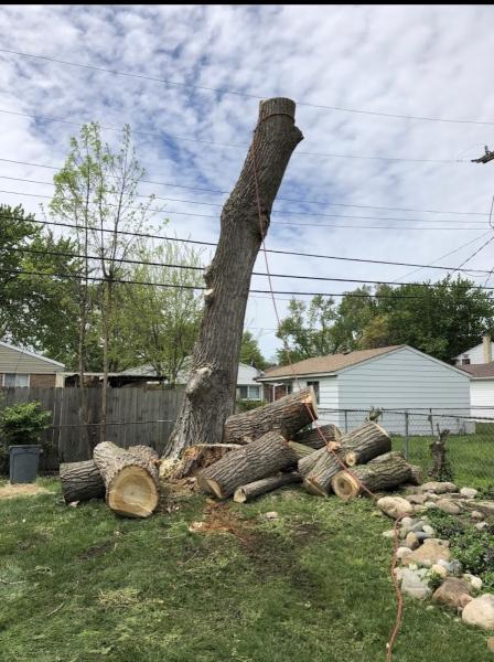Z-Tree Inc.