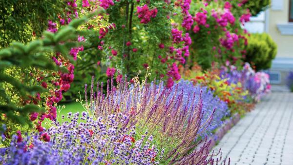 Land Care Management Services