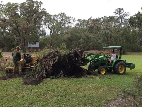 High View Tree Service Inc
