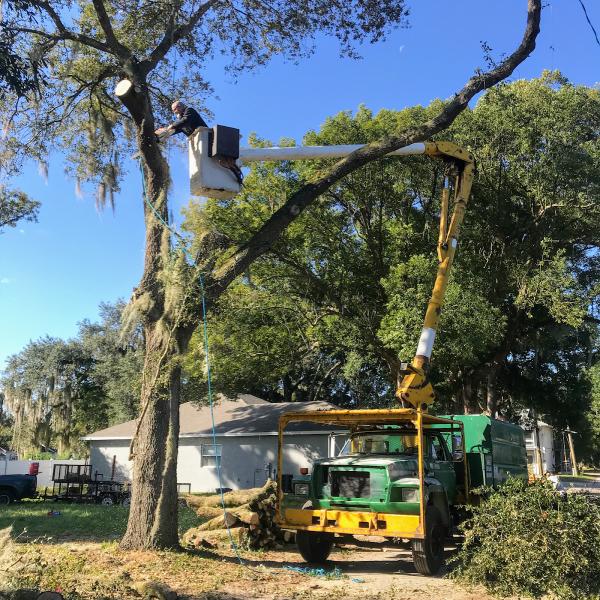 High View Tree Service Inc