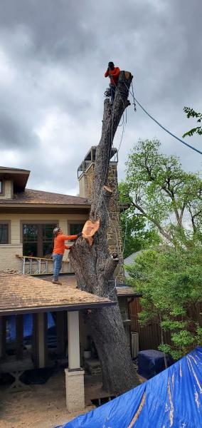 Rudy's Tree Service