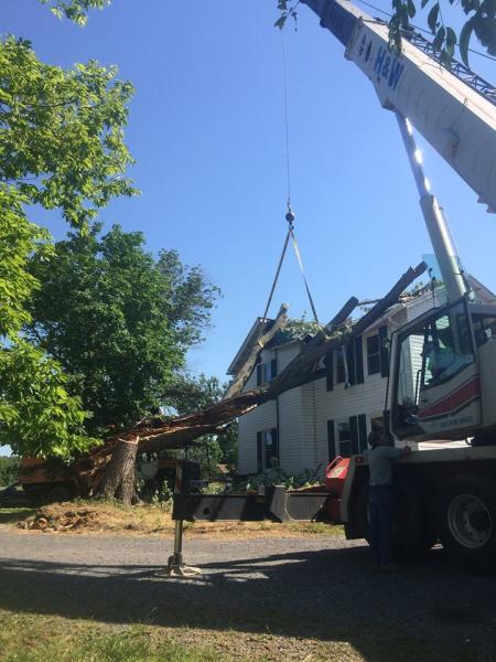Smittys Tree Service