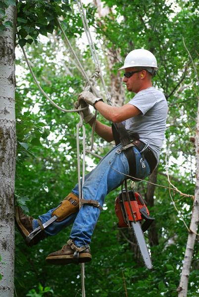 Smittys Tree Service