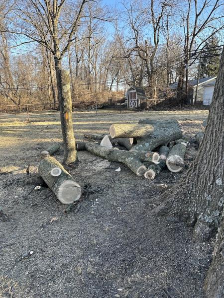 Jjs Family Tree Service LLC