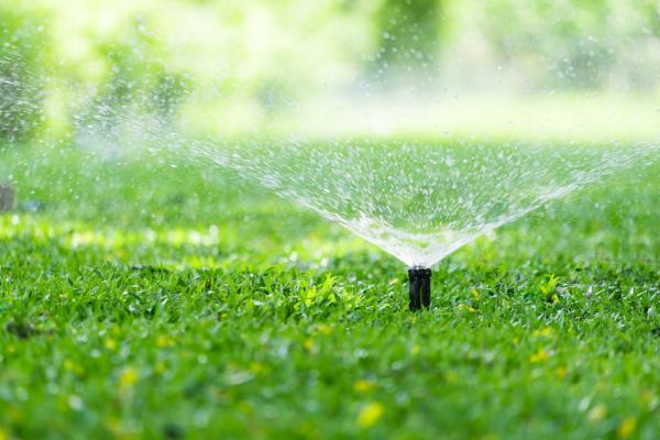 Diamond Irrigation