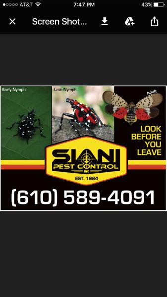 Siani Pest Control Inc
