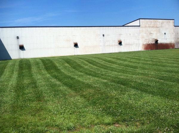 Green Scene Landscaping and Lawn Care
