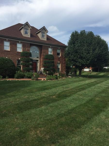 Green Scene Landscaping and Lawn Care