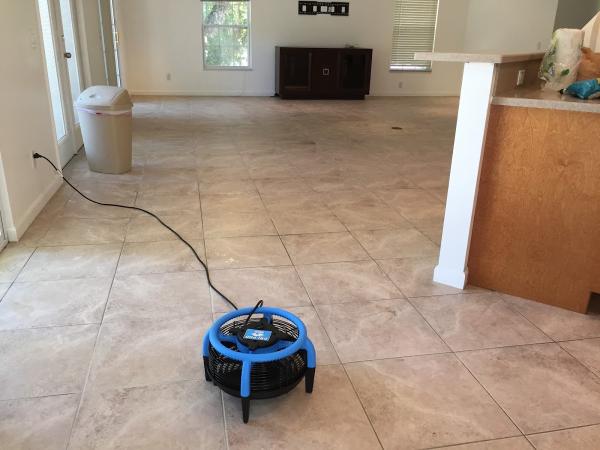 Castle to Condo Carpet & Tile Cleaning