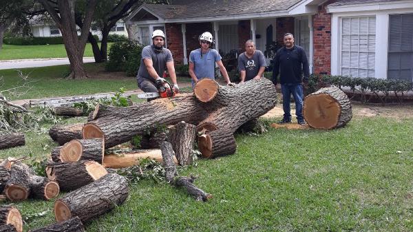 Alvarez Tree Service