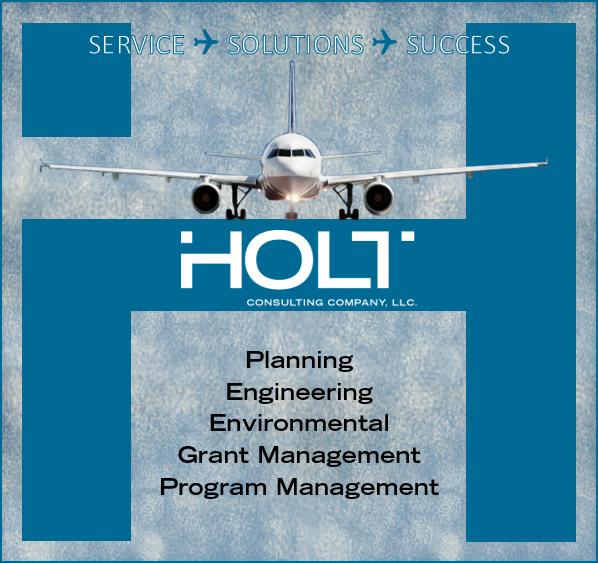 Holt Consulting Company