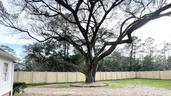 Pinnacle Fencing