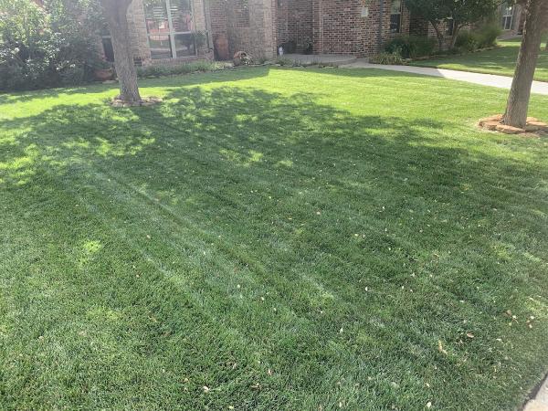 Halligan Tree and Landscape Service