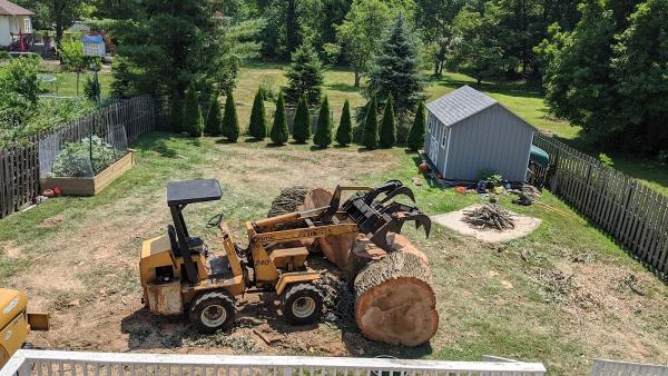 RKD Tree Services