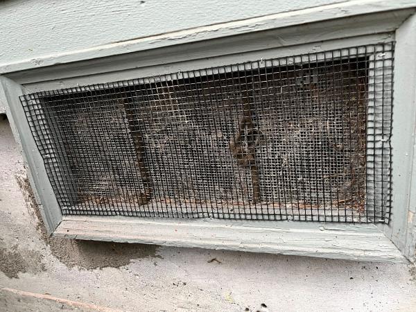 Issaquah Pest & Home Services