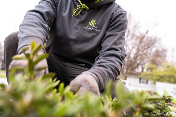 Second Nature Landscape Management