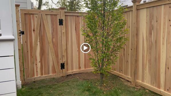 New Fence