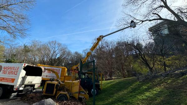 Nashville Tree Service NTS