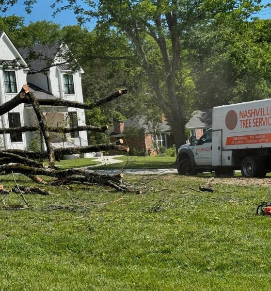 Nashville Tree Service NTS