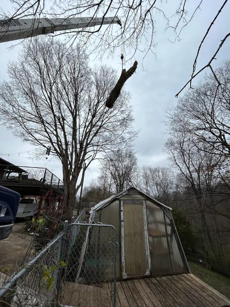 Nashville Tree Service NTS