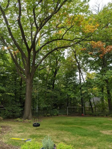 Nelson Treeworks